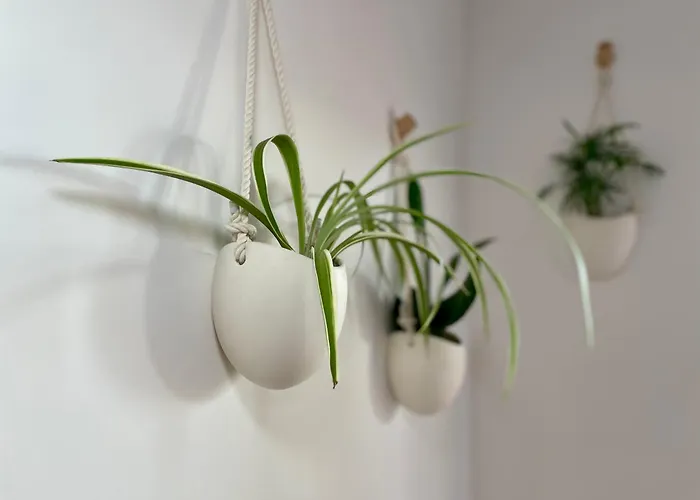 Apartamento Greenchill House - West *